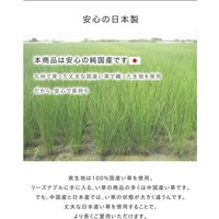 イケヒコ キッチンマット 国産い草 シンプル 滑りにくい加工 『プチブロック』 幅2700×奥行600mm グレー  1枚（直送品）
