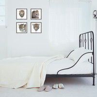 マッチングジャパン フチなし ラミあり フレームステッカー リアル動物『動物_03』 CO-9045-AS 1個(2枚セット)（直送品）