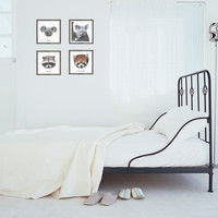 マッチングジャパン フチなし ラミあり フレームステッカー リアル動物『動物_08』 CO-9050-AS 1個(2枚セット)（直送品）