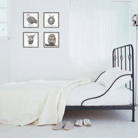 マッチングジャパン フチなし ラミあり フレームステッカー リアル動物『動物_18』 CO-9060-AS 1個(2枚セット)（直送品）