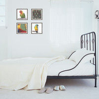 マッチングジャパン フチなし ラミあり フレームステッカー リアル動物『動物_25』 CO-9067-AS 1個(2枚セット)（直送品）