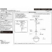 ジャーナルスタンダードファニチャー ASHLAND PENDANT LAMP ペンダントランプ 幅300×奥行300×高さ310mm 1個（直送品）