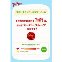 サントリー アセロラリフレッシュ 280ml 1セット（48本）