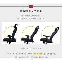 ネットフォース ナッツシリーズ両袖机＆チェアセット袖2段/3段デスク幅1400mmホワイト＆ブラック 1セット（2点入） LRD-147-S16-AW（直送品）