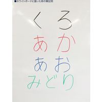 寺西化学工業 マジックチョーク No.650 黒 M650-T1 1セット(10本)