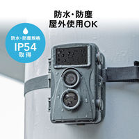 トレイルカメラ　防犯カメラ　動物・獣害対策　屋外　工事不要　乾電池式　CMS-SC01GY　サンワサプライ　1台（直送品）