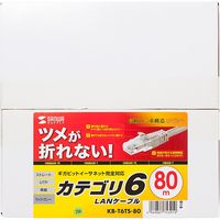 サンワサプライ つめ折れ防止カテゴリ6LANケーブル KB-T6TS-80 1本（直送品）