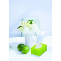 ポケットティッシュケース グリーン 4950672658473 12個 伊勢藤（直送品）