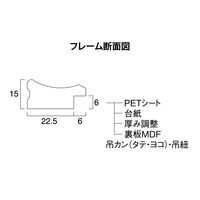 大仙 金ラックーR PET 七〇 N箱入 33J335C3700 1セット(1個×5)