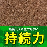 アース カマイラズ 草消滅 ジョウロヘッド 園芸用品 農薬 除草剤 液体 雑草 枯らす 草取り 2L 1セット(3個) アース製薬