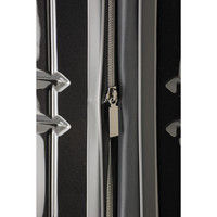 アジア・ラゲージ ALI-MAX14ガンメタブラッシュ（直送品）