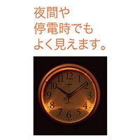 カシオ計算機 電波クロック IQ-1050NJ-8JF 1個