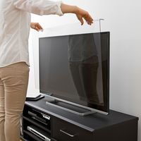 サンワサプライ 液晶テレビ保護フィルター（55インチ） CRT-550WHG 1個（直送品）