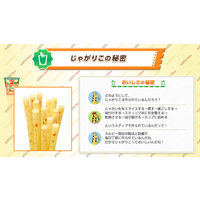 カルビー じゃがりこサラダ 1箱（16g×48袋入）