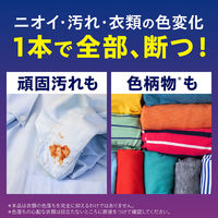 ナノックスワン（NANOX one）ニオイ専用 業務用 洗濯洗剤 濃縮 液体 詰め替え バックインボックス 10kg 1個 ライオン