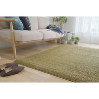 スミノエ 防炎ラグ スミトロンニューツイスティ 2610×3520mm イエローグリーン 4549781206981 1枚（直送品）