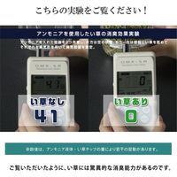 イケヒコ 玄関マット 室内 国産い草 『Fグラデーション』 幅600×奥行900mm ブルー 1080240014604 1枚（直送品）