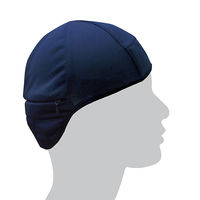 ブレイン クールヘッド+プラス(保冷剤別売) BR-558 1個