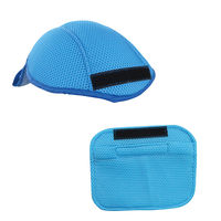 ブレイン ヘルメット汗取りインナー クーリングヘルパッド(保冷剤別売) BR-573 1個