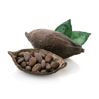 カカオティーギフト缶3本セット 【送料無料】（直送品）