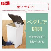 アスベル R防臭エバン・ペダルペール20L 4950672654116 1セット（2個）