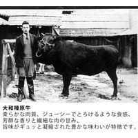 うし源本店 大和榛原牛すき焼き・しゃぶしゃぶ用霜降りもも 【送料無料】（直送品）