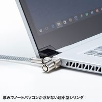 サンワサプライ 超小型シリンダセキュリティ SL-80 1個（直送品）
