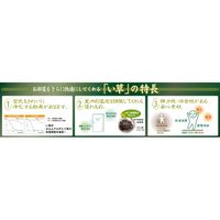 萩原 国産い草センターラグ（裏貼り） レーヴ 約幅1910×奥行2500mm ブルー 81938201 1枚（直送品）