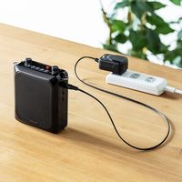 拡声器　メガホン　スピーカーマイク　ポータブル型　ハンズフリー　MM-SPAMP9　サンワサプライ　1個（直送品）
