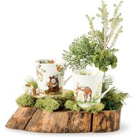 ブルーム 美濃焼 林民和ひなたの森マグカップ/mugcup/きつね・桔梗/9×9cm/日本 16585 1セット（4個：1個入×4箱）（直送品）