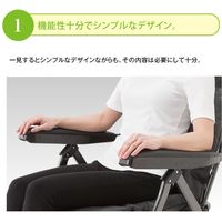 ファミリー・ライフ くつろぎのリクライニングアームチェアEX ブラック 0368110 1脚（直送品）