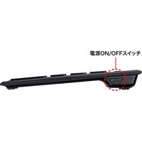 サンワサプライ ワイヤレスUSBテンキー NT-WL21BK 1個（直送品）