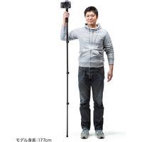 サンワサプライ マルチスタンド（一脚） DG-CAM23 1個