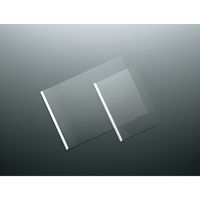 コクヨ　レールクリヤーホルダー(厚とじ・PET)　A4タテ　約40枚収容　白　レール式クリアホルダー　フ-WTP760W　1冊