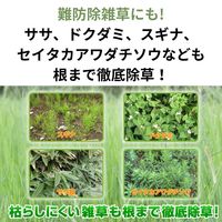 住友化学園芸 草退治メガロングシャワーGT 除草剤 4.8L 1セット（3個） 約11カ月効果持続