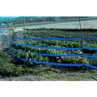 識別テープ「来るなら濃いブルー」　50mm×200m　30巻セット IDENTIFY-BLUETAPE-30P 1箱（30巻入） 松浦産業（直送品）