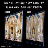 慶洋エンジニアリング 有機ELフルハイビジョンモバイルモニター NB-EL133BL 1台（直送品）