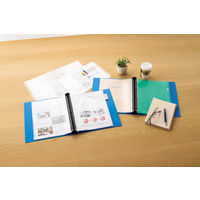 ライオン事務器 クリアーポケット 特厚 A4S 30穴 10枚入 CL-303ET 1セット(5冊)