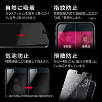 MSソリューションズ iPhone SE 第3/第2世代/8/7/6s/6 ガラスフィルム LP-ISS22FG 1個
