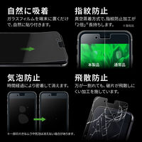 MSソリューションズ iPhone SE 第3/第2世代/8/7/6s/6 ガラスフィルム マット LP-ISS22FGM 1個