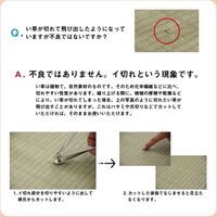 イケヒコ コバガード上敷 江戸間8畳 3520×3520mm 1020170012802 1枚（直送品）