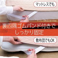 イケヒコ ベッドパッド 消臭 1400×2000mm 1192030370301 1枚（直送品）