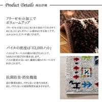 イケヒコ イビサ2 玄関マット 500×800mm ブラウン 1311190061701 1枚（直送品）