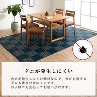 イケヒコ ウィード 上敷 江戸間1畳 870×1740mm ブラック 1090280030802 1枚（直送品）