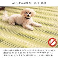 イケヒコ 日和 江戸間2畳 1740×1740mm ベージュ 1090580020902 1枚（直送品）