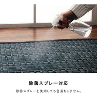 イケヒコ バルカン 上敷 団地間6畳 2550×3400mm ベージュ 1090030020502 1枚（直送品）