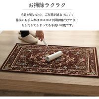 イケヒコ エリーゼ 玄関マット 600×900mm ブラウン 1311471061801 1枚（直送品）