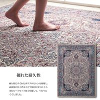 イケヒコ エクセレント カーペット 2000×3000mm 1320390010701 1枚（直送品）