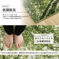 イケヒコ ガイア ラグ 1330×1900mm 1320480010201 1枚（直送品）