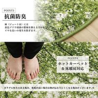 イケヒコ ガイア ラグ 1600×mm 1320480010301 1枚（直送品）